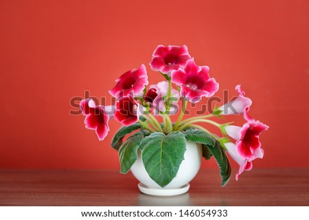 violet flowers in vase or flowerpot indoors