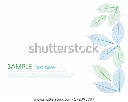 Skeleton leaf abstract background. Decorative ornament of colored leaves pattern. Green and blue leaves. Space for text.