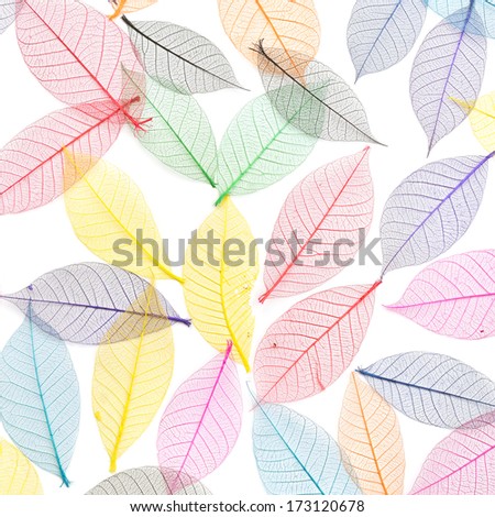 Skeleton leaf abstract background. Decorative ornament of colored leaves pattern. Template for design fabric, backgrounds, wrapping paper, package, covers