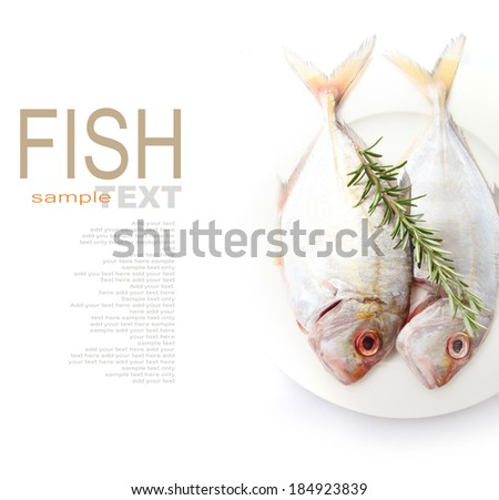 Silver Trevally or a white fish on the white background