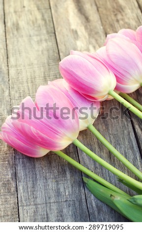 Pink Tulips over wooden texture background with copy space