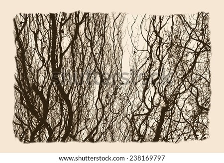 Autumn trees art / Crossed Branches / Isolated tree