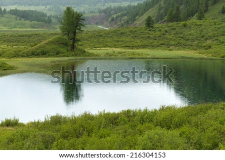 Summer landscape in the mountain Altai area: small lake with water surface covered by ripples caused by rain drops and green tree at the shore. The road, forest, rocks and hills forms a background