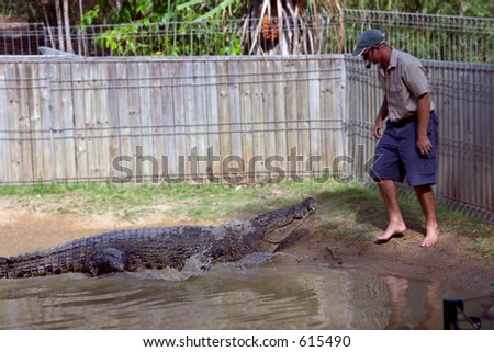 Crocodile attack demonstration