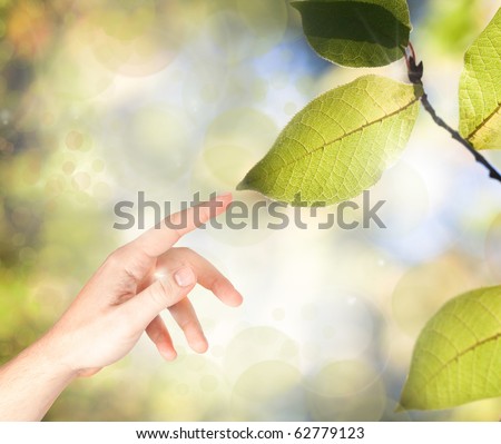 Hand reaching out to touch a leaf on a tree against beautiful out of focus background