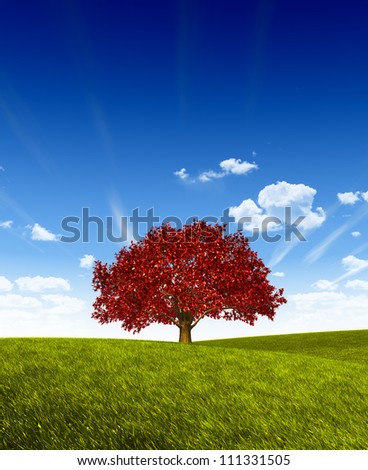 Tree on Green Land. High Resolution Photo.