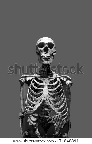 Old bony skeleton isolated over a gray background in black and white.