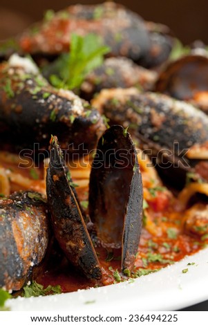 Macro shot of a mussels seafood dinner with red sauce.  Shallow depth of field.