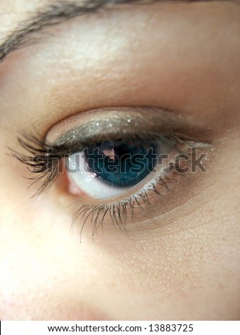 A macro shot of a pretty woman\'s blue eye and lashes - shallow depth of field.