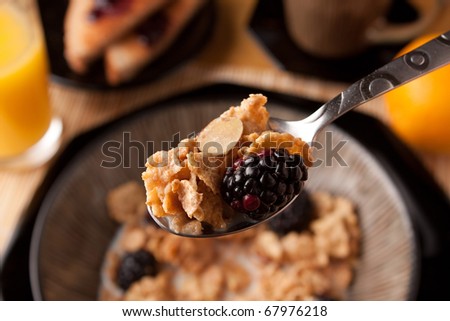 Close up of a spoon full of breakfast cereal flakes with almonds and blackberries.  Shallow depth of field.