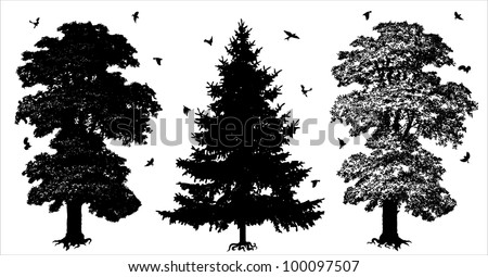 Similar – Image, Stock Photo black and white conifer