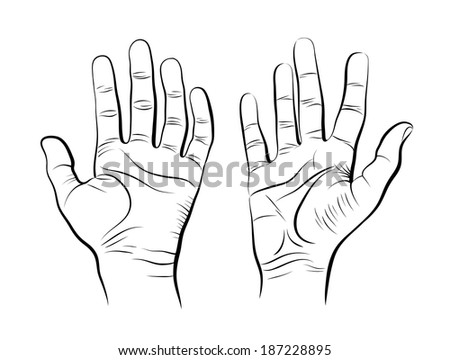 Vector Sketch Of Two Human Hands. Palms And Fingers. - 187228895 ...