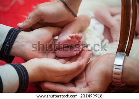 Mother and father hold babies feet in their hands expressing love and carrying concept