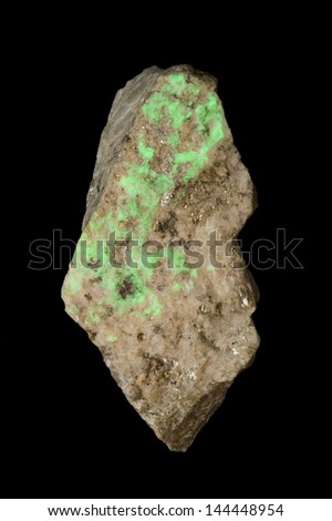 MUSEUM MINERAL SERIES: fluorescent minerals under ultraviolet light. Hyalite opal (water opal) isolated on black. 13cm high.