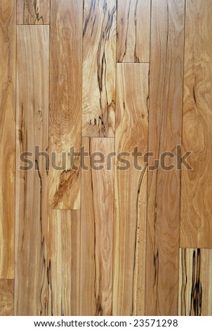 Birch wood parquet texture - real wood