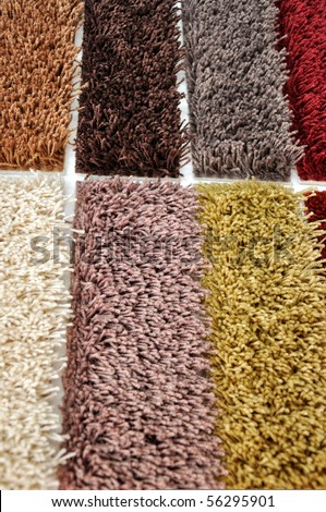 Shaggy like carpet colors samples