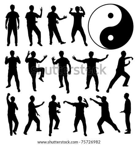 Martial Art Kung Fu Tai Chi Self Defense Exercise Fight Master People Man