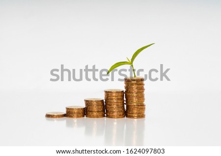 Plant Growing Ion stacked coins. Investment Concept on white background Imagine de stoc © 