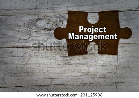 Wood Puzzle: Project Management