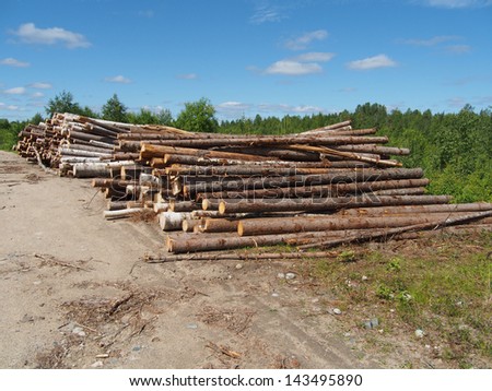The logs on the road