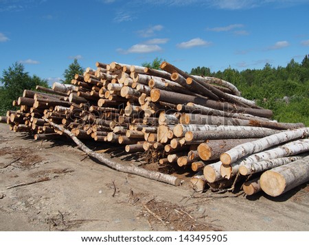 The logs on the road
