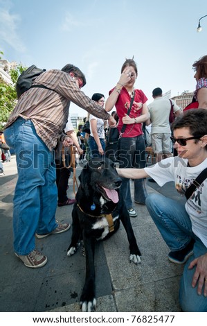 MILAN, ITALY - MAY 8: A group of dog lovers and their pets attend a demonstration against 