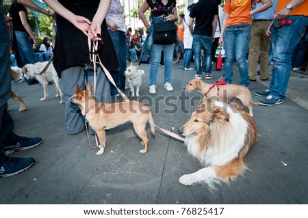 MILAN, ITALY - MAY 8: A group of dog lovers and their pets attend a demonstration against \