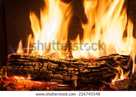Burning firewood in the fireplace close up