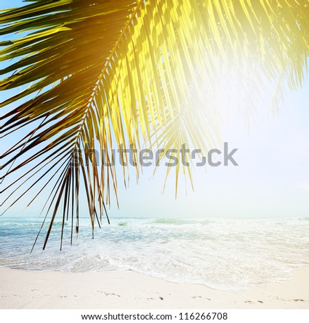 Tropical beach in sunny day. Square composition.