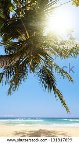 Tropical beach in sunny day. Vertical panoramic composition.