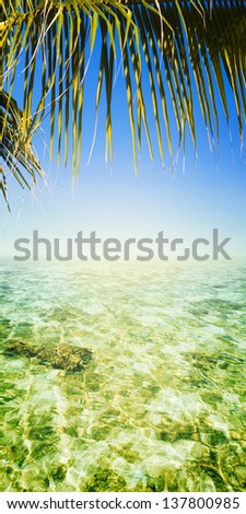 Tropical sea. Vertical panoramic composition.