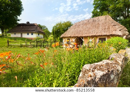 rural house in Pirogovo near Kiev city