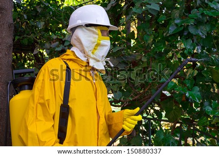 Man in a protective suit spraying plants against pests, Disinfection, photography