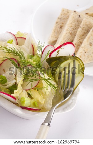 Fresh healthy salad with radish, lettuce and pickled cucumber