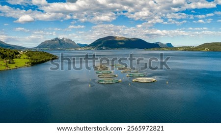 Similar – Image, Stock Photo A fjord in Norway. In the foreground the sea and in the background snow-covered mountain tops. The blue sky is decorated by veil clouds.