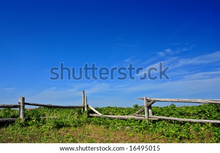 country landscape with fence and blue sky