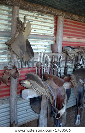 Saddles and horse gear