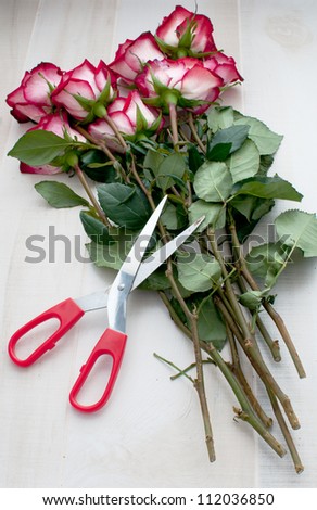 Red scissors for gardening and flowers