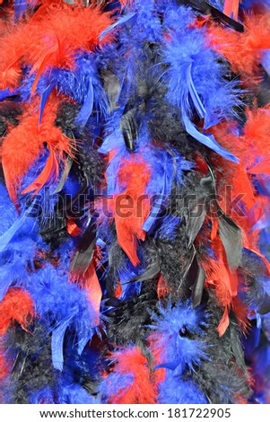 Carnival feathers boa in red blue and black colors hanging on the sun