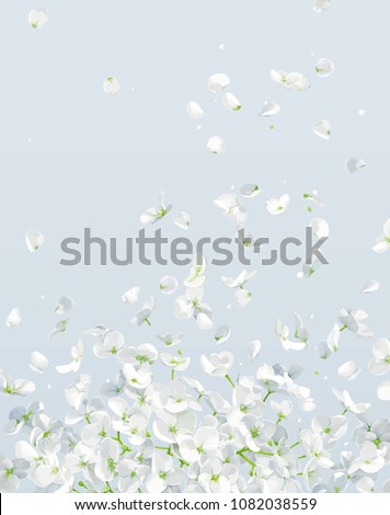 Summer wind - luxurious white vector Hydrangea flower and Apple blossom with flying petals in watercolor style for 8 March, wedding, Valentine's Day,  Mother's Day, sales and other seasonal events.