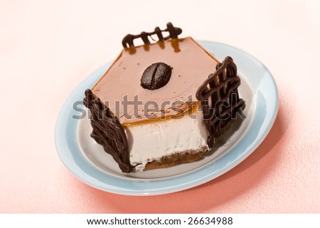food series: fancy cake with chocolate on plate