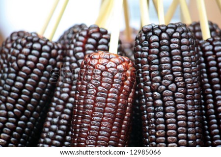 Food Bio-tech: Genetical modified, Black pearl corns