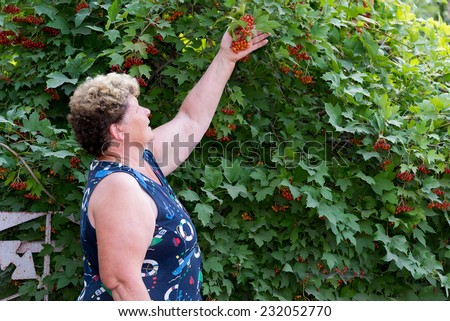 An elderly woman in a garden near Viburnum