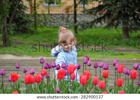 Little girl near the flower beds with a tulips