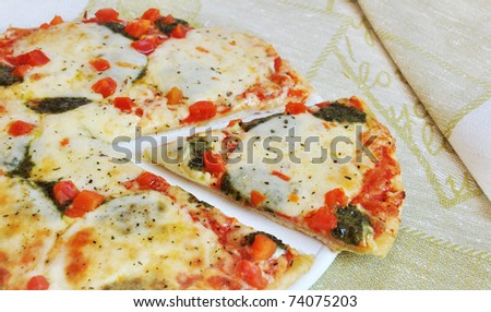 Appetizing pizza with mozzarella cheese