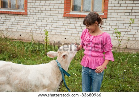 Village life. Girl with Calf