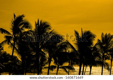 Palm trees against a golden background.
