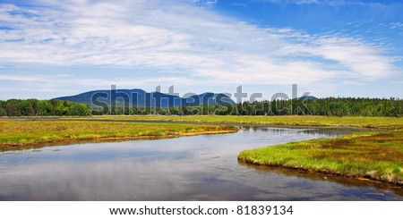 The Marshall Brook winds its way into the Bass Harbor Marsh in Acadia National Park.  In the distance are Bernard and Mansell Mountains.