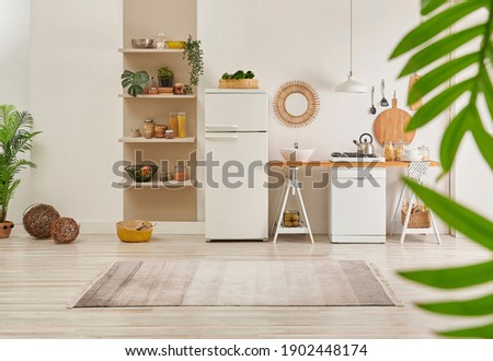 Kitchen carpet on the parquet style, decorative new refrigerator and dishwasher, shelf, mirror, lamp and vase of plant style.