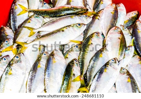 Fresh fish on ice at fresh market, Thailand